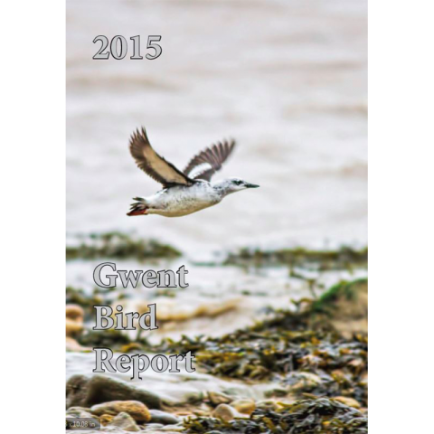 2015_Bird Report