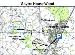Goytre House Wood map