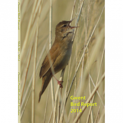 2014 Bird Report