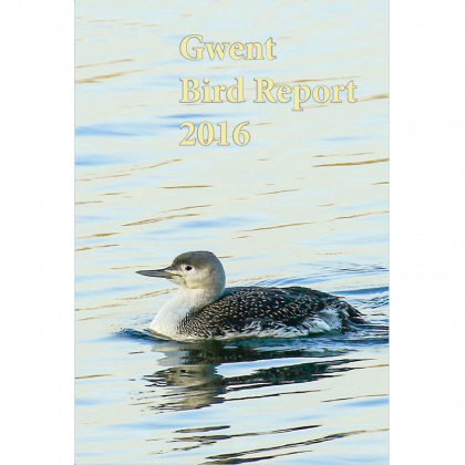 2016 Bird Report