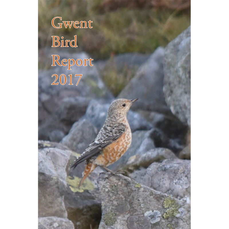 2017 Report download