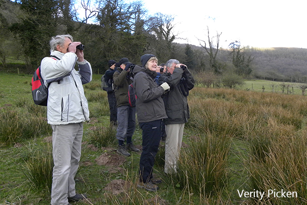 GOS Members on walk at Cwmyoy