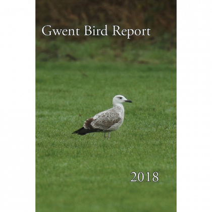 2018 Report download