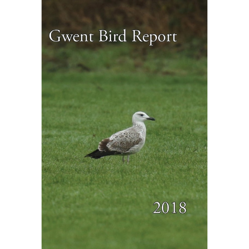 2018 Report download