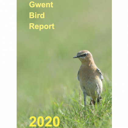 2020 Bird Report