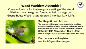 Outdoor Event - Wood Warblers Assemble! @ Meeting at Village car park opposite Goytre Arms NP40AH